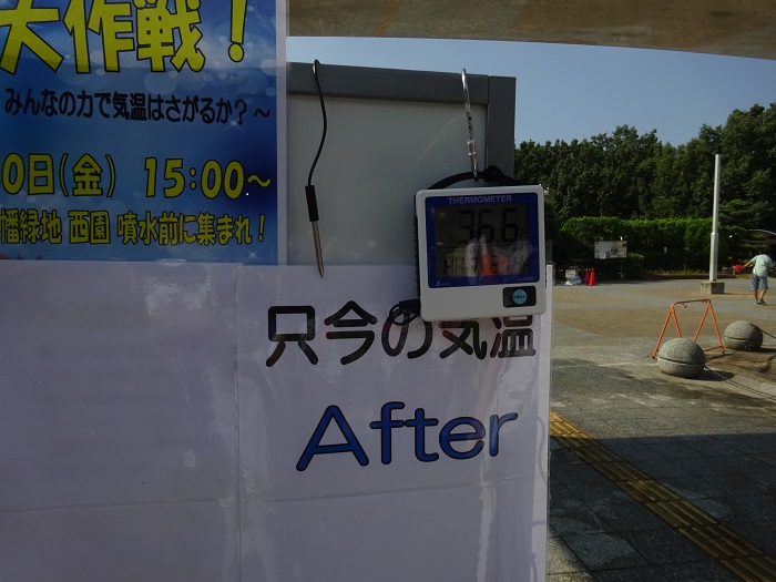 DSC02416.jpg